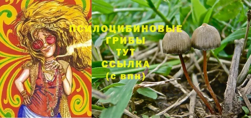 blacksprut ТОР  Алдан  Галлюциногенные грибы Magic Shrooms 